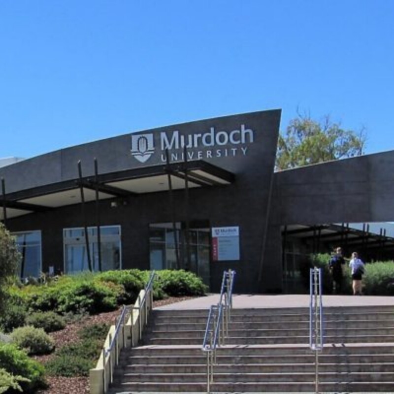 Murdoch University Peel Campus Campus Activation Project